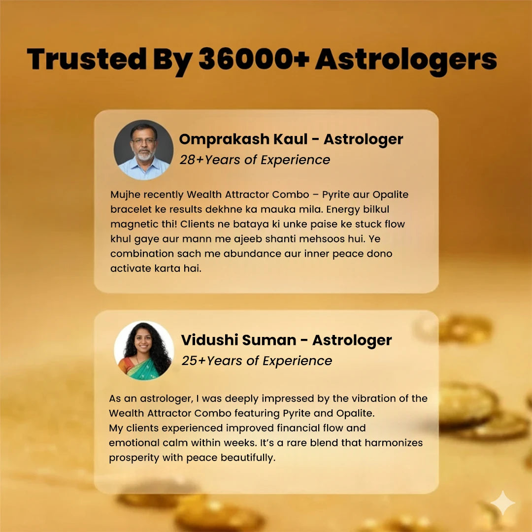 Wealth Attractor Combo Bracelet